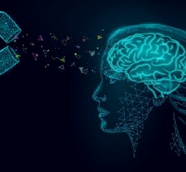 Body Brain Energy For An Intelligent Mind