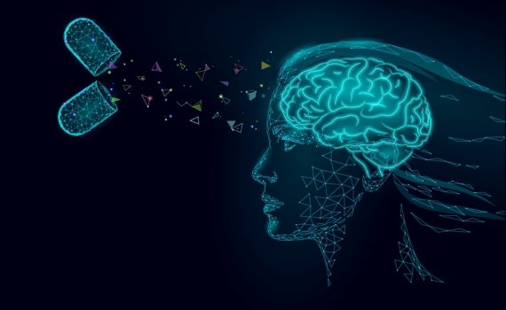 Body Brain Energy For An Intelligent Mind