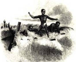 Surfing History Watersports History