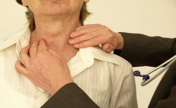 Thyroid Glands - Thyroid Supplements Guide