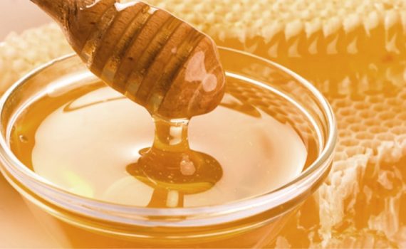 Plant Pollination - Honey